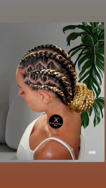 salon de coiffure afro tresse tresses box braids crochet braids vanilles tissages paris 75 77 78 91 92 93 94 95 FNOVMNOO