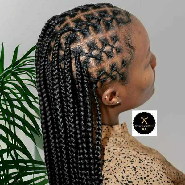 salon de coiffure afro tresse tresses box braids crochet braids vanilles tissages paris 75 77 78 91 92 93 94 95 AMHRUBVB