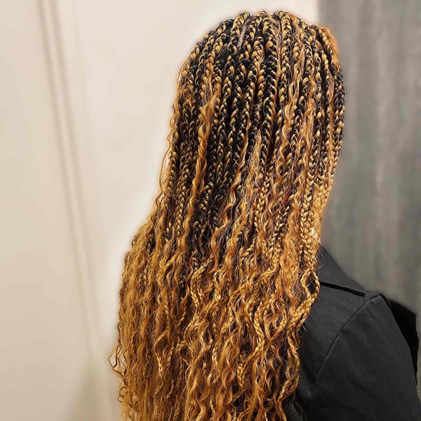 salon de coiffure afro tresse tresses box braids crochet braids vanilles tissages paris 75 77 78 91 92 93 94 95 LPNSGTWD