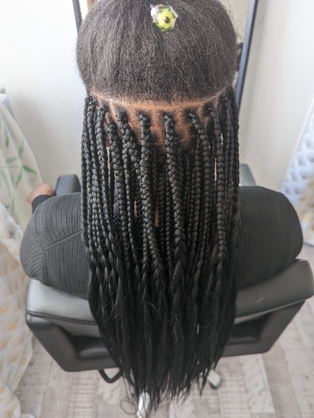 salon de coiffure afro tresse tresses box braids crochet braids vanilles tissages paris 75 77 78 91 92 93 94 95 KJORFDUL