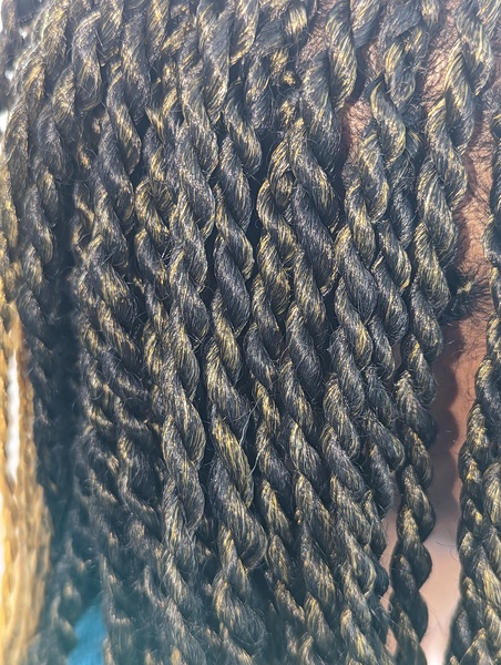 salon de coiffure afro tresse tresses box braids crochet braids vanilles tissages paris 75 77 78 91 92 93 94 95 XRQMJFXL