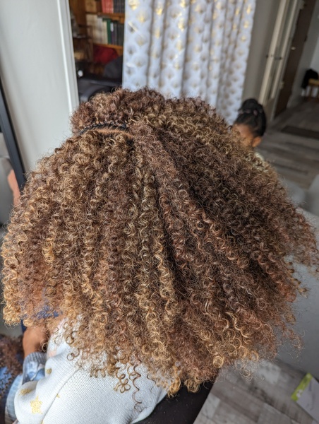 salon de coiffure afro tresse tresses box braids crochet braids vanilles tissages paris 75 77 78 91 92 93 94 95 ZOXMVOKF