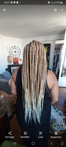 salon de coiffure afro tresse tresses box braids crochet braids vanilles tissages paris 75 77 78 91 92 93 94 95 WMUSWSSO