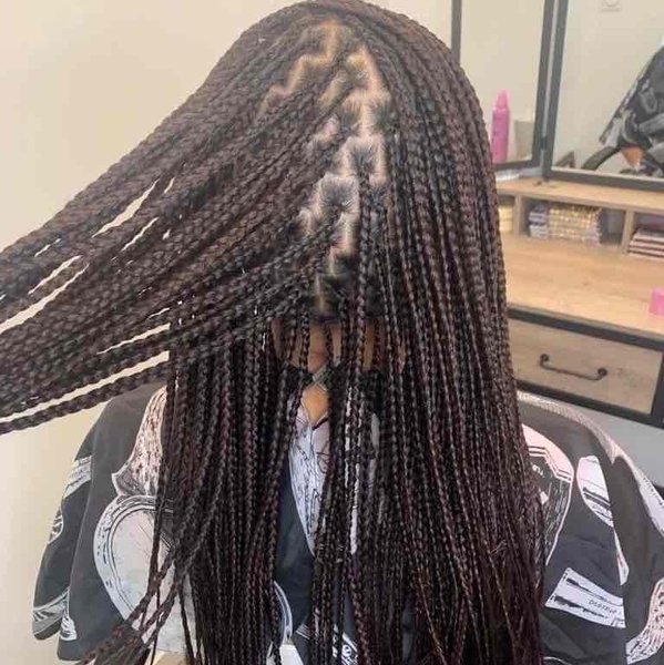 salon de coiffure afro tresse tresses box braids crochet braids vanilles tissages paris 75 77 78 91 92 93 94 95 WJDNZRFR