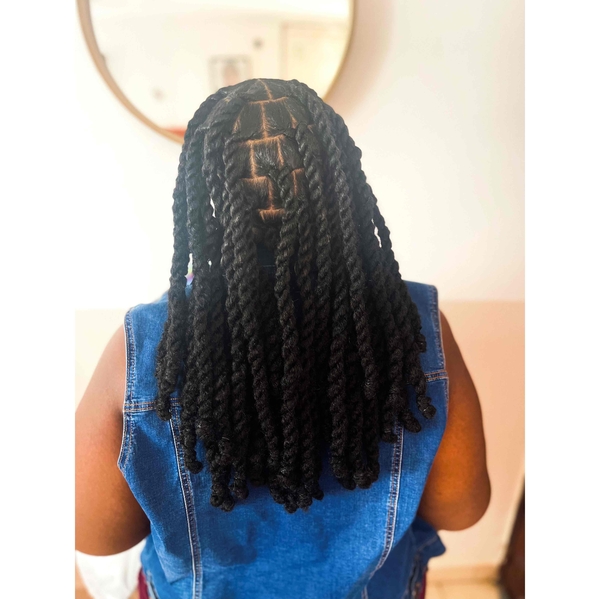 salon de coiffure afro tresse tresses box braids crochet braids vanilles tissages paris 75 77 78 91 92 93 94 95 SURBMOXG