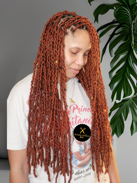 salon de coiffure afro tresse tresses box braids crochet braids vanilles tissages paris 75 77 78 91 92 93 94 95 JKTTVPQI