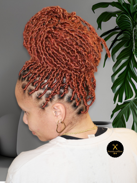 salon de coiffure afro tresse tresses box braids crochet braids vanilles tissages paris 75 77 78 91 92 93 94 95 KVZIVSTY