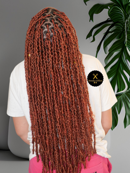 salon de coiffure afro tresse tresses box braids crochet braids vanilles tissages paris 75 77 78 91 92 93 94 95 ASZGQNAM