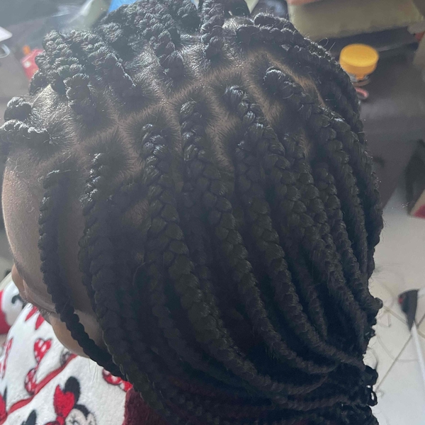 salon de coiffure afro tresse tresses box braids crochet braids vanilles tissages paris 75 77 78 91 92 93 94 95 HPIWCGWM