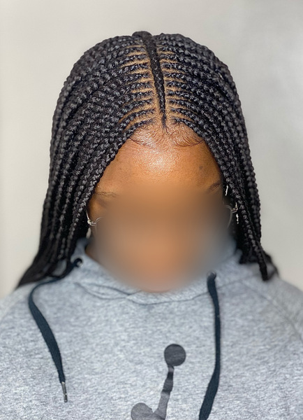 salon de coiffure afro tresse tresses box braids crochet braids vanilles tissages paris 75 77 78 91 92 93 94 95 SXFINPYV