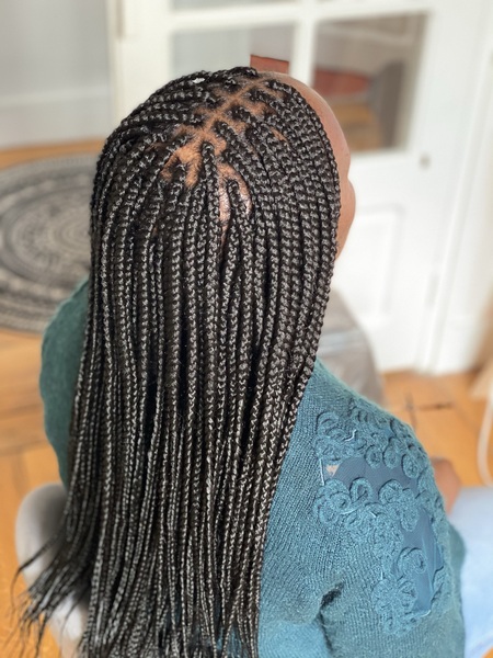 salon de coiffure afro tresse tresses box braids crochet braids vanilles tissages paris 75 77 78 91 92 93 94 95 PVXEYCXS