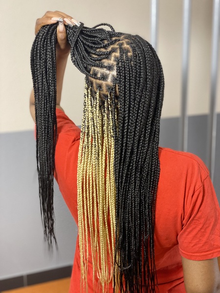 salon de coiffure afro tresse tresses box braids crochet braids vanilles tissages paris 75 77 78 91 92 93 94 95 SBGZCXMR