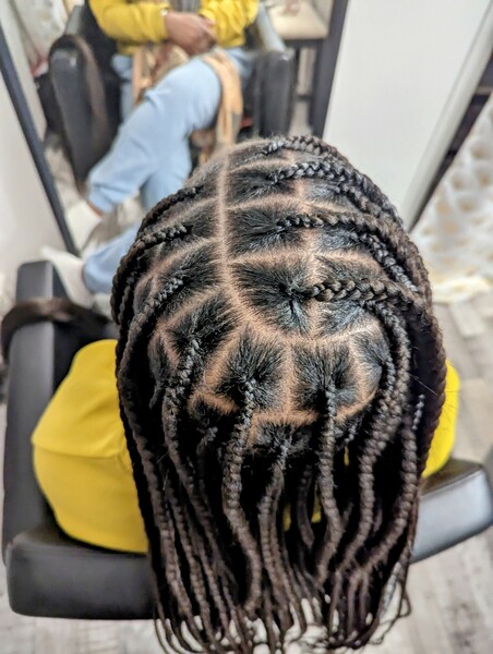 salon de coiffure afro tresse tresses box braids crochet braids vanilles tissages paris 75 77 78 91 92 93 94 95 ZHZKDGLR