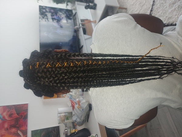 salon de coiffure afro tresse tresses box braids crochet braids vanilles tissages paris 75 77 78 91 92 93 94 95 KIIXWBJX