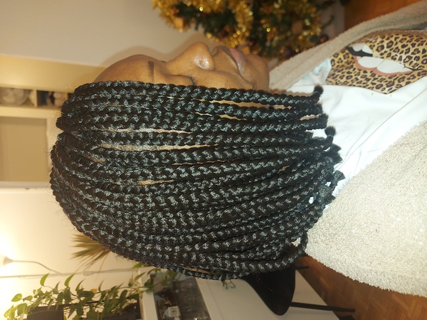 salon de coiffure afro tresse tresses box braids crochet braids vanilles tissages paris 75 77 78 91 92 93 94 95 WJOSBMZZ