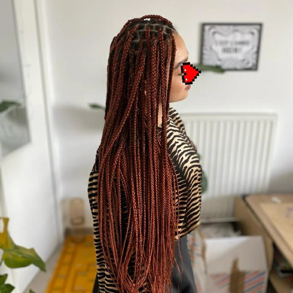 salon de coiffure afro tresse tresses box braids crochet braids vanilles tissages paris 75 77 78 91 92 93 94 95 YFCGINLO