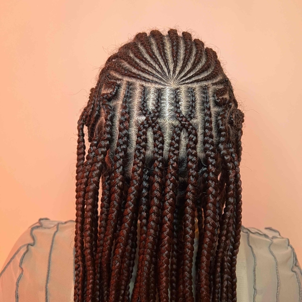 salon de coiffure afro tresse tresses box braids crochet braids vanilles tissages paris 75 77 78 91 92 93 94 95 VSVEFNIQ