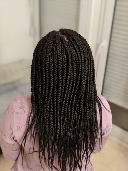 salon de coiffure afro tresse tresses box braids crochet braids vanilles tissages paris 75 77 78 91 92 93 94 95 MSOKWJWE