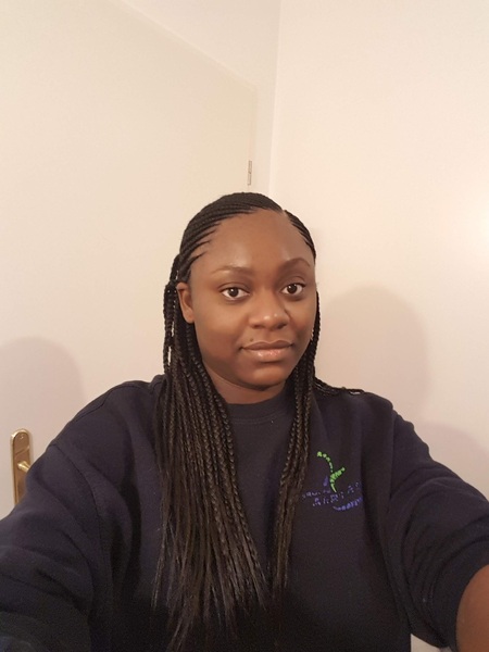 salon de coiffure afro tresse tresses box braids crochet braids vanilles tissages paris 75 77 78 91 92 93 94 95 LNASGYLI