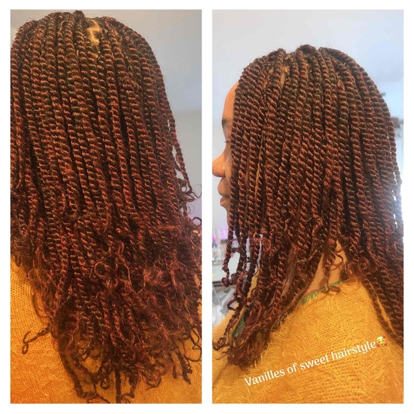 salon de coiffure afro tresse tresses box braids crochet braids vanilles tissages paris 75 77 78 91 92 93 94 95 XFTEJZUW
