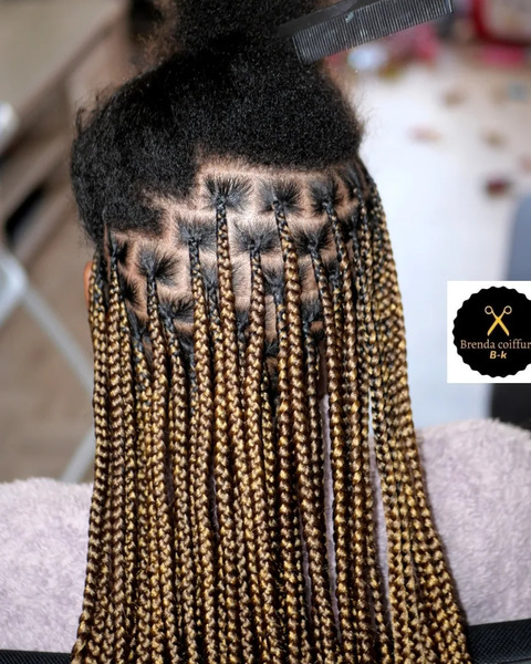 salon de coiffure afro tresse tresses box braids crochet braids vanilles tissages paris 75 77 78 91 92 93 94 95 IUZUFXEA