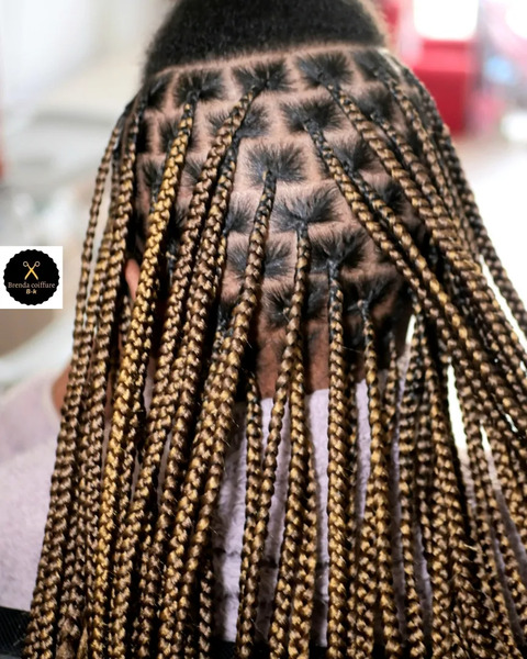 salon de coiffure afro tresse tresses box braids crochet braids vanilles tissages paris 75 77 78 91 92 93 94 95 DIJLOSOZ