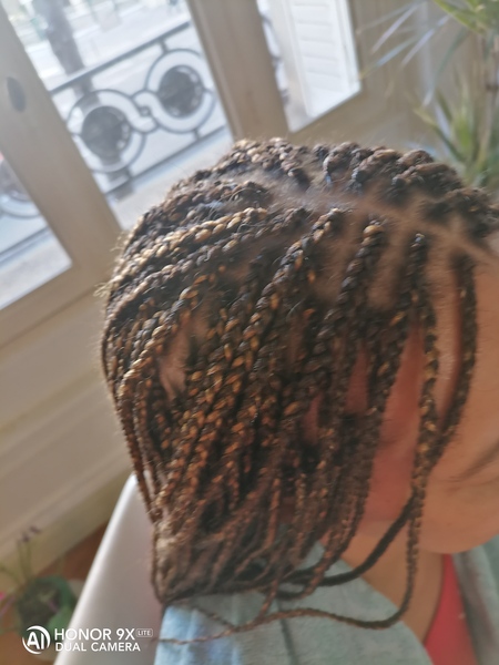 salon de coiffure afro tresse tresses box braids crochet braids vanilles tissages paris 75 77 78 91 92 93 94 95 PDTPSXXV