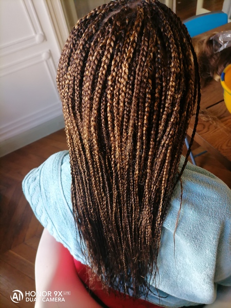 salon de coiffure afro tresse tresses box braids crochet braids vanilles tissages paris 75 77 78 91 92 93 94 95 TZLNQFSV