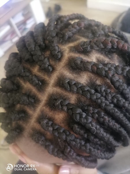 salon de coiffure afro tresse tresses box braids crochet braids vanilles tissages paris 75 77 78 91 92 93 94 95 SMXJKNHK