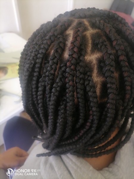 salon de coiffure afro tresse tresses box braids crochet braids vanilles tissages paris 75 77 78 91 92 93 94 95 YRMKCCVQ