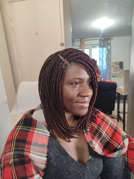 salon de coiffure afro tresse tresses box braids crochet braids vanilles tissages paris 75 77 78 91 92 93 94 95 WJBRYNIB
