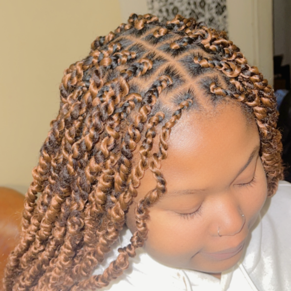 salon de coiffure afro tresse tresses box braids crochet braids vanilles tissages paris 75 77 78 91 92 93 94 95 YIETJEYV