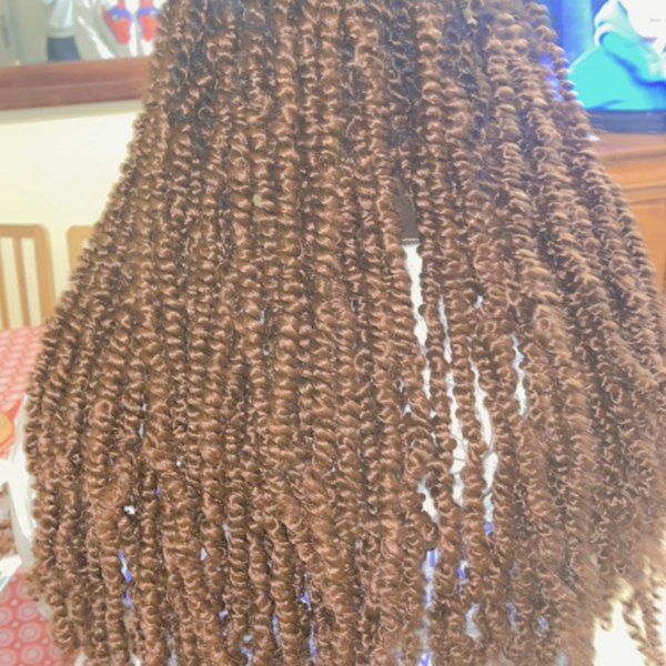 salon de coiffure afro tresse tresses box braids crochet braids vanilles tissages paris 75 77 78 91 92 93 94 95 GSDIUCAN
