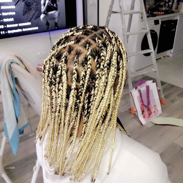 salon de coiffure afro tresse tresses box braids crochet braids vanilles tissages paris 75 77 78 91 92 93 94 95 AHIIZFAC