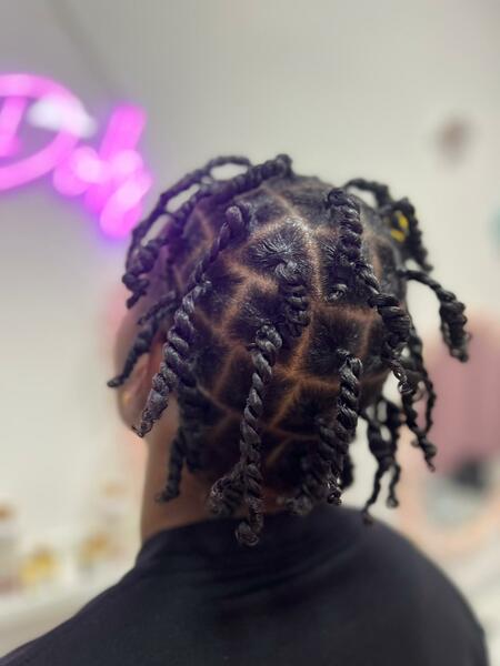 salon de coiffure afro tresse tresses box braids crochet braids vanilles tissages paris 75 77 78 91 92 93 94 95 JTSDXSZL
