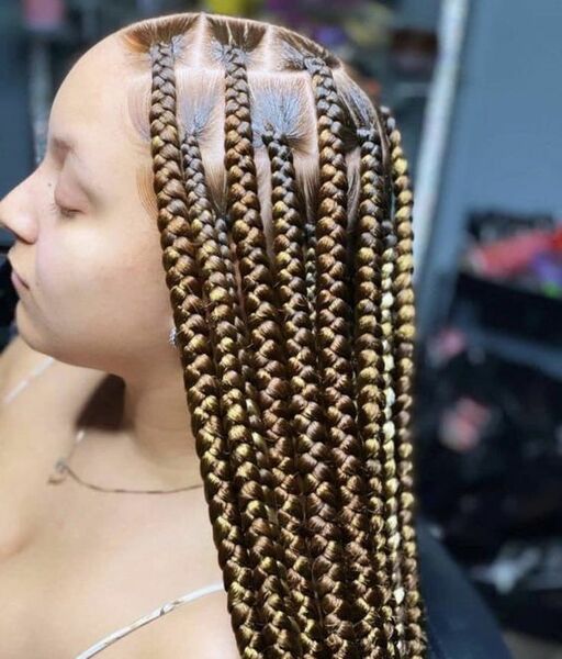 salon de coiffure afro tresse tresses box braids crochet braids vanilles tissages paris 75 77 78 91 92 93 94 95 LYEALVKQ