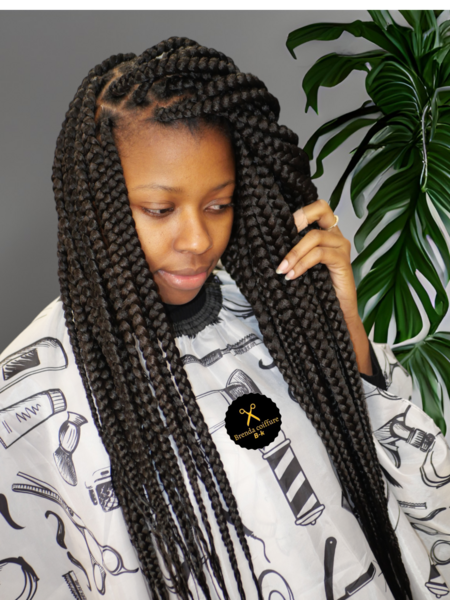 salon de coiffure afro tresse tresses box braids crochet braids vanilles tissages paris 75 77 78 91 92 93 94 95 TCVOKIZN