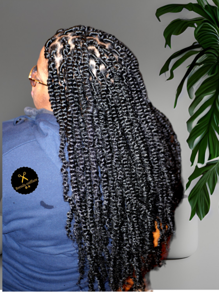 salon de coiffure afro tresse tresses box braids crochet braids vanilles tissages paris 75 77 78 91 92 93 94 95 SAMTZOSF