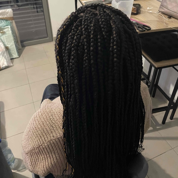 salon de coiffure afro tresse tresses box braids crochet braids vanilles tissages paris 75 77 78 91 92 93 94 95 XBDRPQDJ