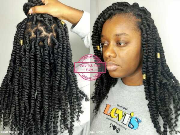 salon de coiffure afro tresse tresses box braids crochet braids vanilles tissages paris 75 77 78 91 92 93 94 95 AHDCPCGQ