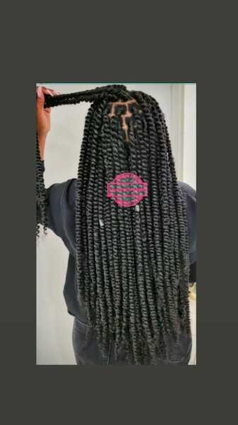 salon de coiffure afro tresse tresses box braids crochet braids vanilles tissages paris 75 77 78 91 92 93 94 95 JLHYENSO