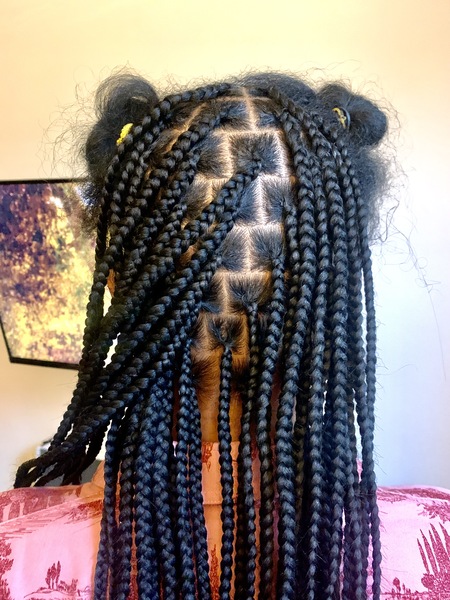 salon de coiffure afro tresse tresses box braids crochet braids vanilles tissages paris 75 77 78 91 92 93 94 95 KZMNOFTU
