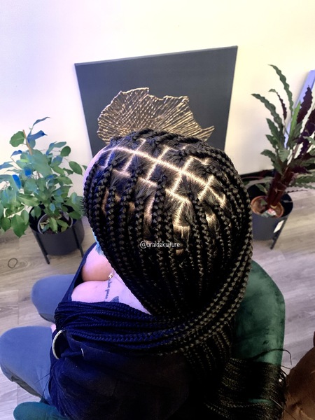 salon de coiffure afro tresse tresses box braids crochet braids vanilles tissages paris 75 77 78 91 92 93 94 95 MLOKHOPP