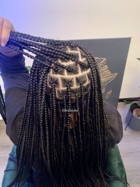 salon de coiffure afro tresse tresses box braids crochet braids vanilles tissages paris 75 77 78 91 92 93 94 95 TPWFNYDV