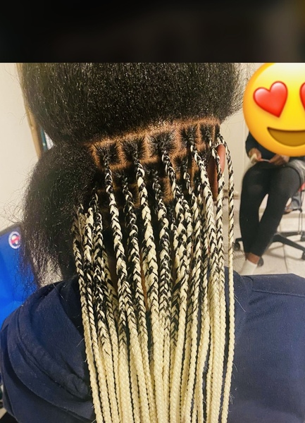salon de coiffure afro tresse tresses box braids crochet braids vanilles tissages paris 75 77 78 91 92 93 94 95 WRUCBLAE