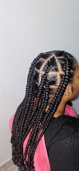salon de coiffure afro tresse tresses box braids crochet braids vanilles tissages paris 75 77 78 91 92 93 94 95 YCJSTKNR