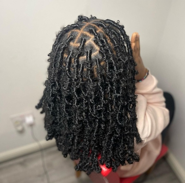 salon de coiffure afro tresse tresses box braids crochet braids vanilles tissages paris 75 77 78 91 92 93 94 95 ZXBQEWCN
