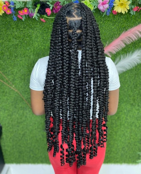 salon de coiffure afro tresse tresses box braids crochet braids vanilles tissages paris 75 77 78 91 92 93 94 95 HXKSGEGE