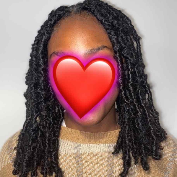 salon de coiffure afro tresse tresses box braids crochet braids vanilles tissages paris 75 77 78 91 92 93 94 95 EEDYTAWI
