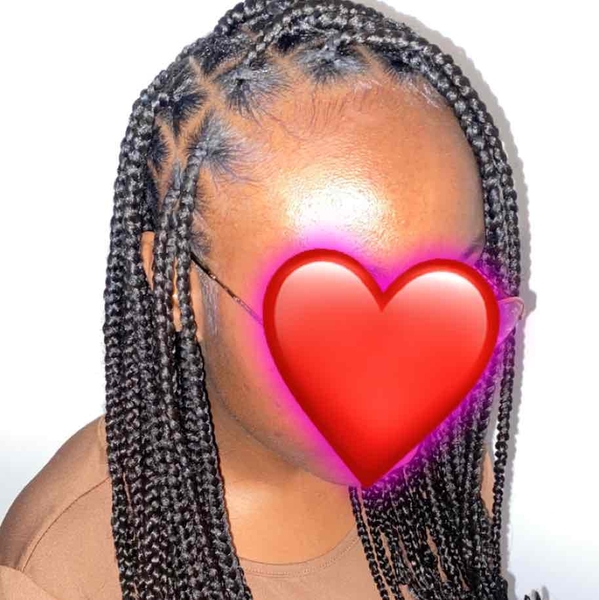 salon de coiffure afro tresse tresses box braids crochet braids vanilles tissages paris 75 77 78 91 92 93 94 95 TFOEGSSH